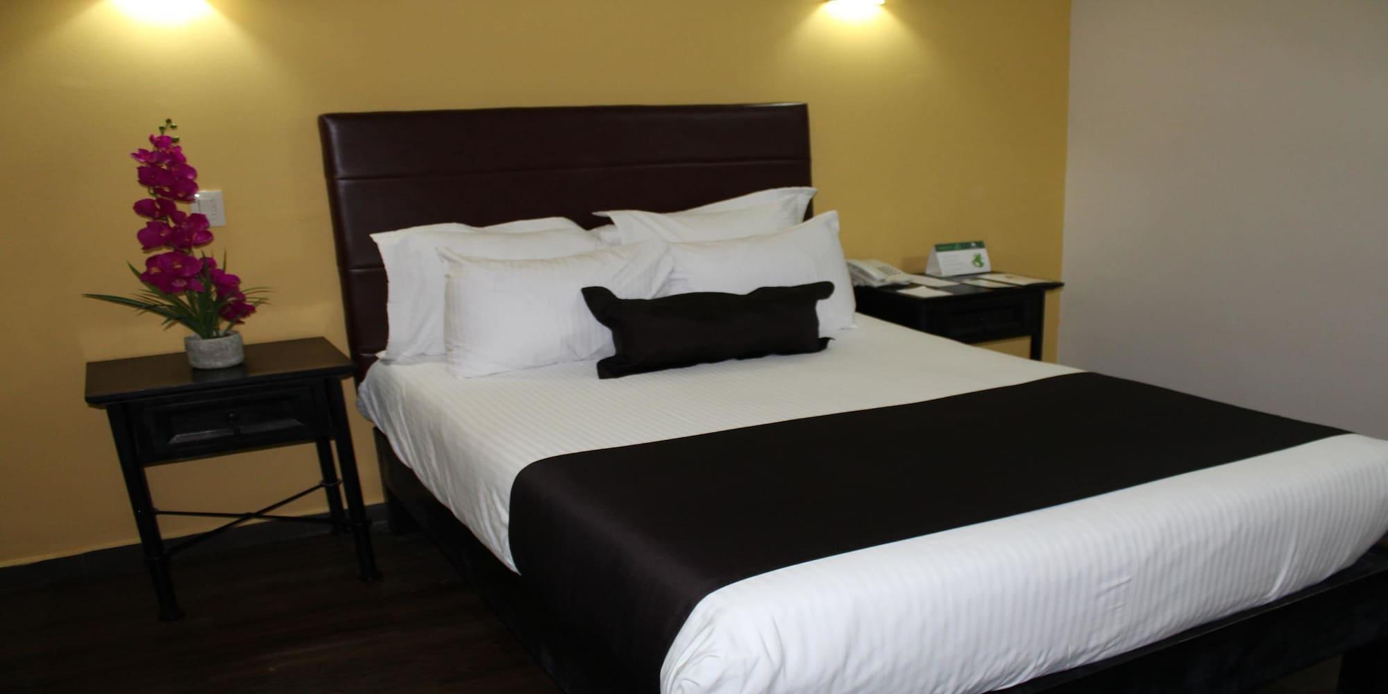 Hotel Plaza Poblana Puebla de Zaragoza Esterno foto